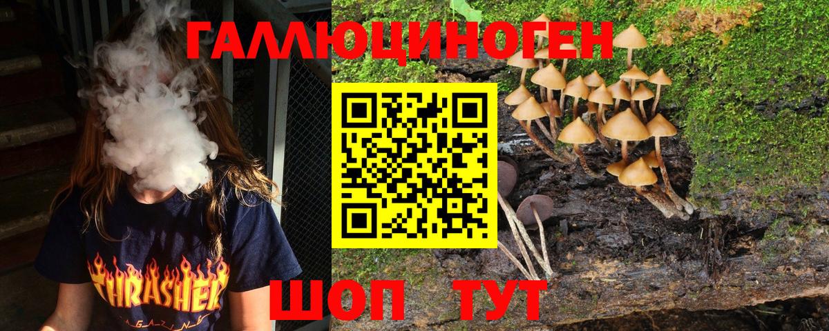 Галлюциногенные грибы Cubensis Заинск